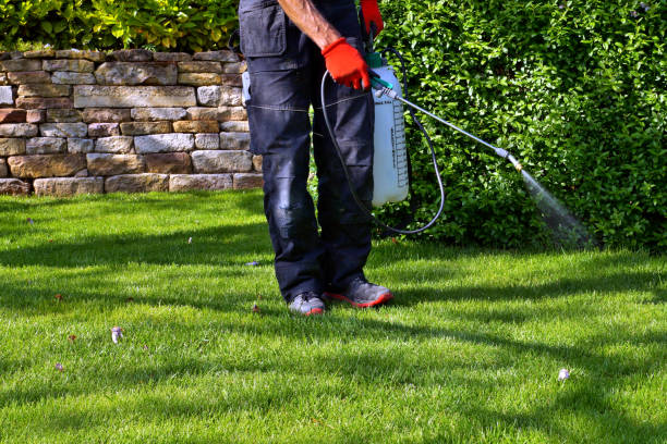 Outdoor Pest Control in Griffith, IN